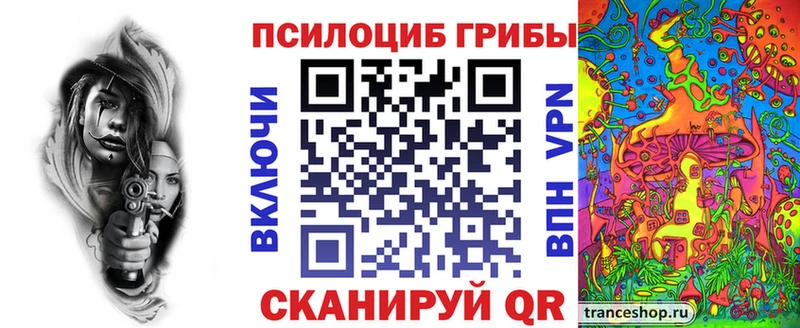 Галлюциногенные грибы Cubensis Ессентуки