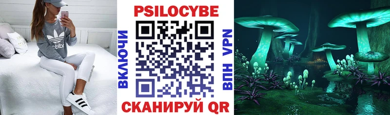 Галлюциногенные грибы Magic Shrooms  Ессентуки 