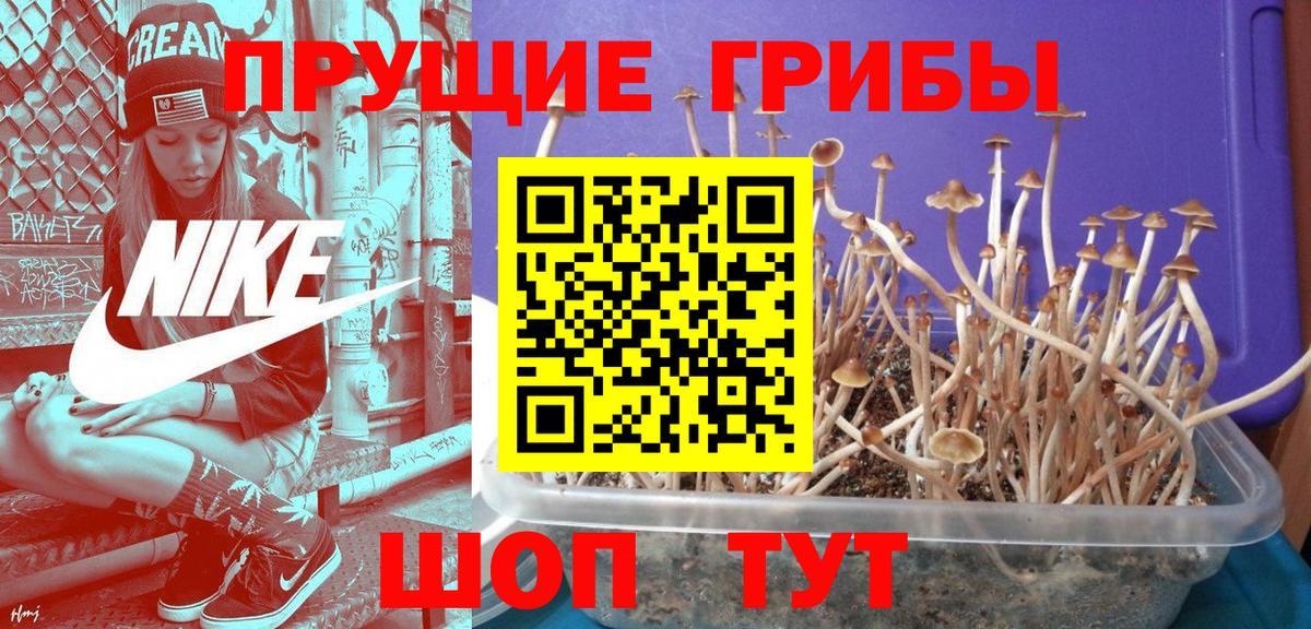 Ессентуки  Псилоцибиновые грибы мухоморы  Псилоцибиновые грибы Cubensis  Вход с VPN 