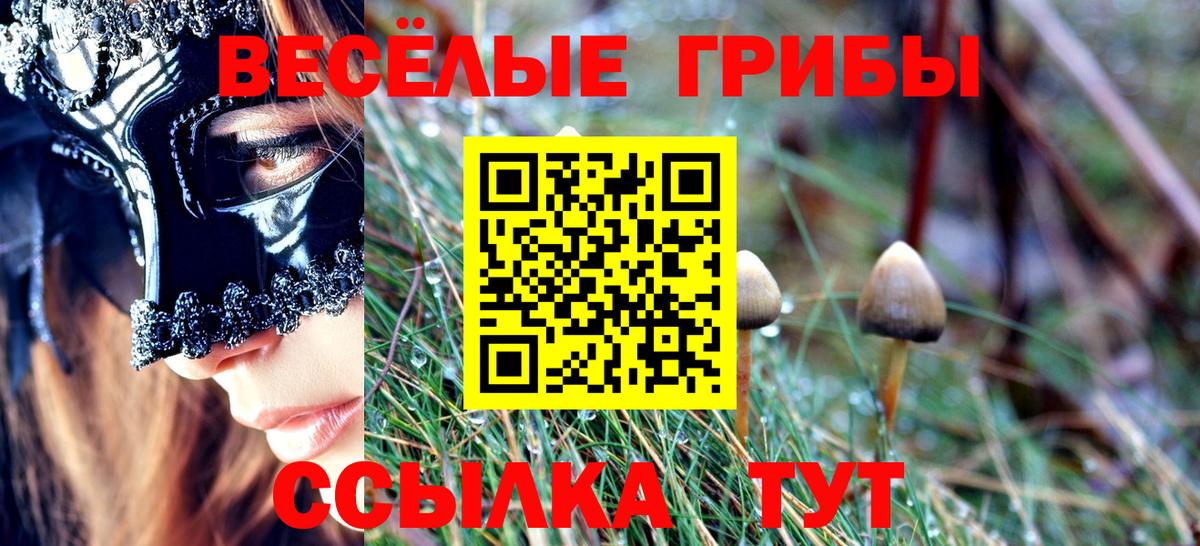 Псилоцибиновые грибы Cubensis Ессентуки